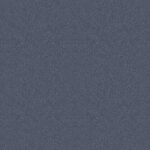 Bronx Jeans